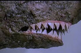 BATHTUB SHARK ATTACK VHS